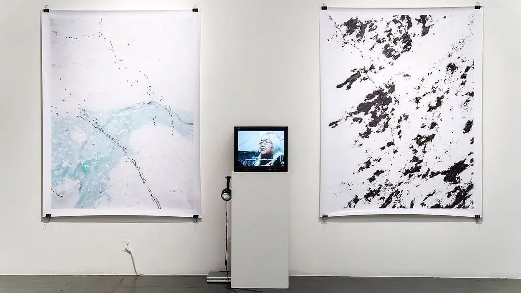 Subhankar Banerjee, Sarah Agnes James, We are the ones who have everything to lose, (Re-)Cycle of Paradise exhibition, COP15, Copenhagen, 2009
