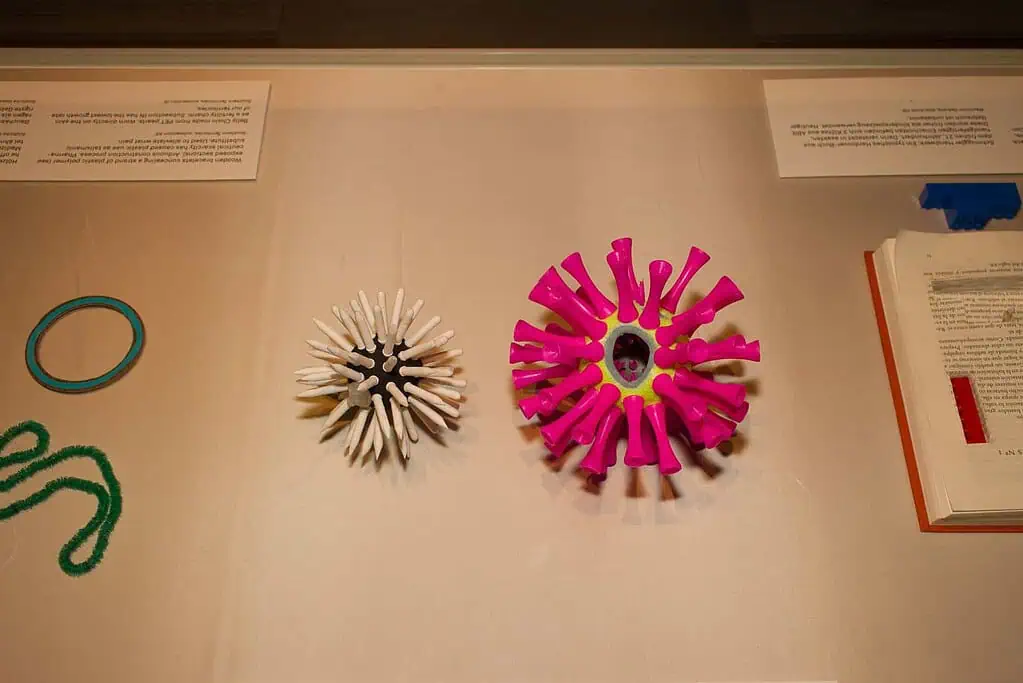 Sam-Hopkins, The Ministry of Plastic, KunstMuseum, Bonn, COP23, Commissioned by ARTPORT_making waves
