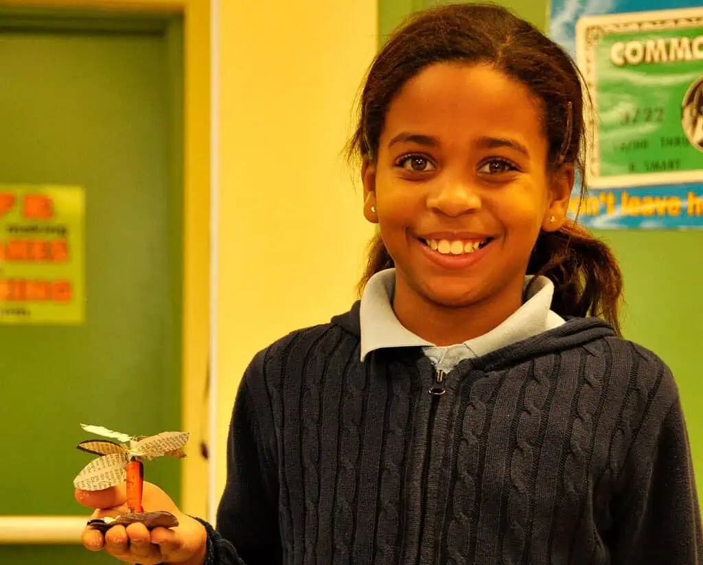La Isla Hundida, educational program