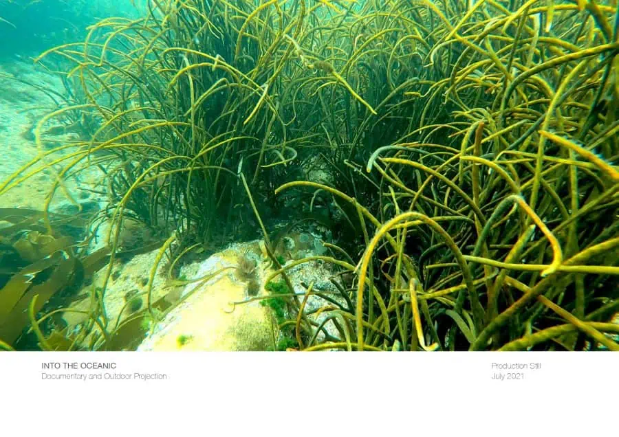 INTO THE OCEANIC by Elizabeth Ogivlie & Robert Page, film still