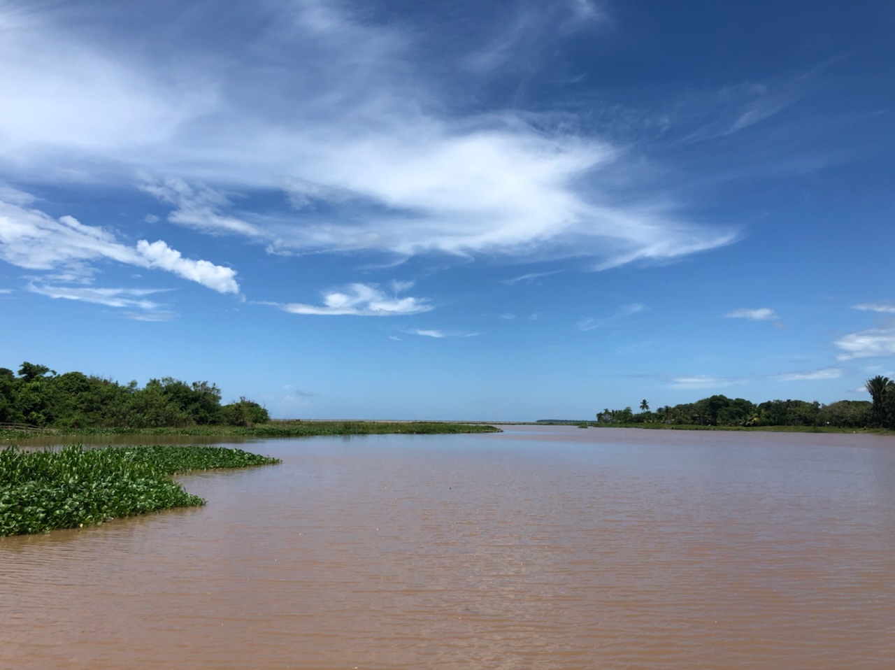 desembocadura rio chamelecon