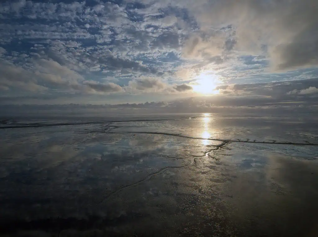 WE ARE OCEAN Wadden Sea, our interdisciplinary journey to bring the Wadden Sea to the people and the people to the Wadden, comes to a conclusion.