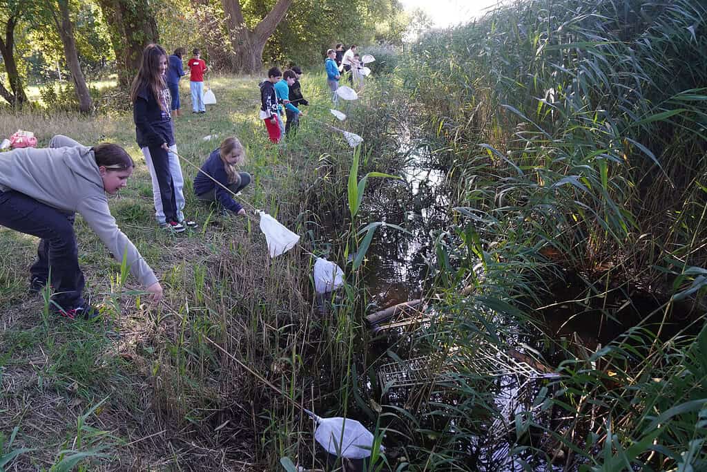 Suederwisch_20250929_007_kl