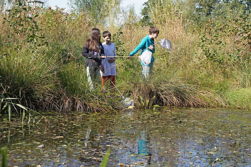 Suederwisch_20250929_044_kl