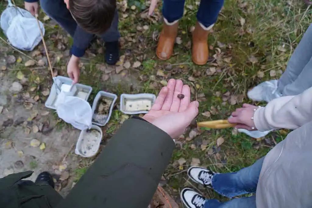 Suederwisch_20250930_027_kl