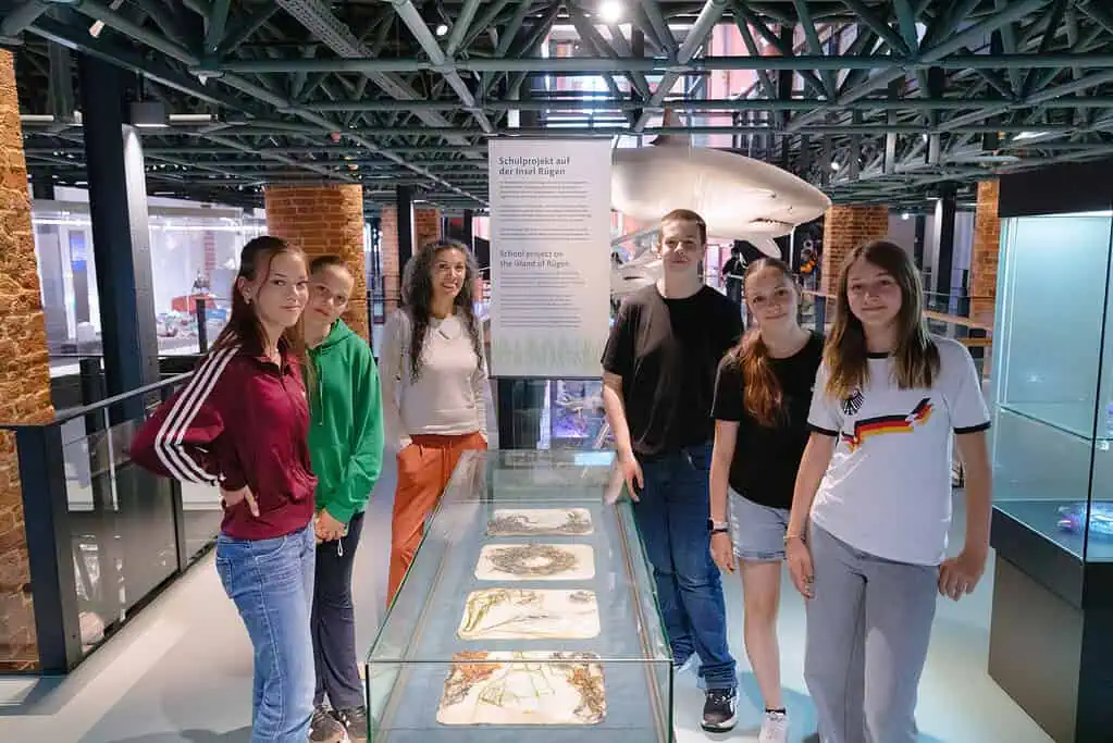 MEERESMUSEUM WE ARE OCEAN Blaupause MV 1M1A6766 Foto Anke Neumeister DMM